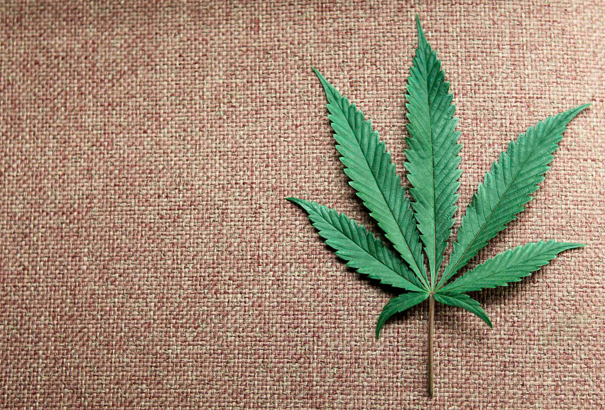 marijuana_cannabis_legalizza_maria_canne_joint_weed_smoking_farsi_le_canne